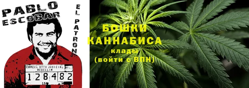 Канабис Ganja  продажа наркотиков  Усть-Лабинск 